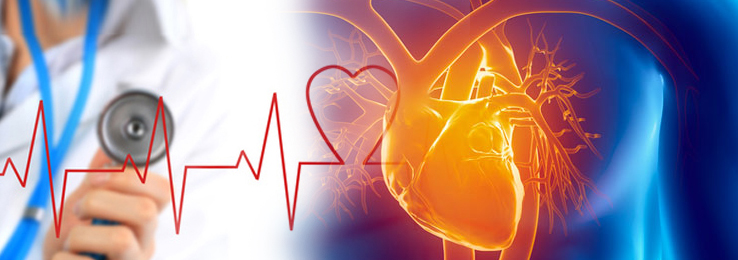 AUXILIAR DE CARDIOLOGÍA Y R.C.P.